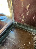 IMG_3860.jpeg