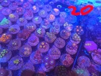 20250311_202847.jpg