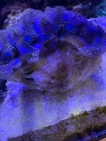 IMG_3724.jpeg