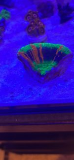 09F72707-D338-482E-9FCC-DFC1CC54C8B5.jpeg