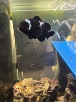 IMG_1369.jpeg