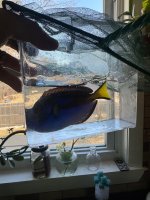 IMG_0527.jpeg