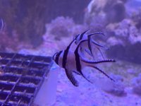 IMG_1483.jpeg
