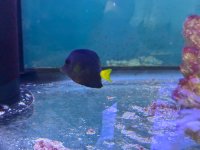 IMG_1493.jpeg