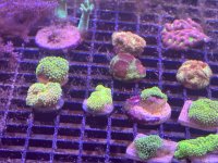 IMG_1482.jpeg