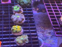 IMG_1479.jpeg