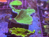 IMG_1473.jpeg