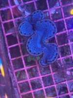 IMG_1465.jpeg