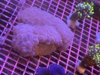 IMG_1468.jpeg