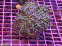 IMG_1470.jpeg