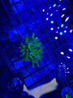 IMG_1463.jpeg