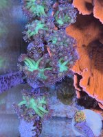 IMG_6130.jpeg