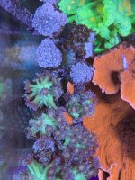 IMG_6129.jpeg