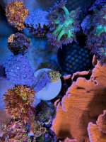 IMG_6132.jpeg