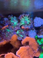 IMG_6127.jpeg