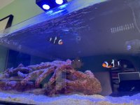 IMG_6202.jpeg