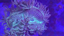 PXL_20250315_152307548.jpg