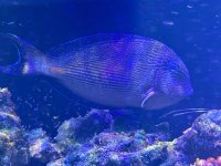 IMG_5942.jpeg