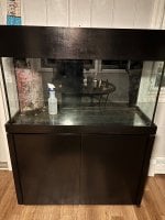 IMG_1317.jpeg