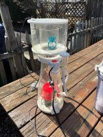 IMG_1301.jpeg