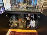 reef aquarium-10.jpg