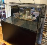 reef aquarium-11.jpg