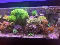 IMG_3656.jpeg