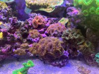 IMG_3658.jpeg