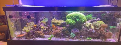 IMG_3660.jpeg
