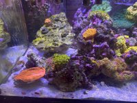 IMG_3659.jpeg