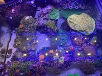 IMG_3655.jpeg