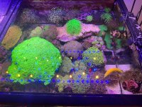 IMG_3654.jpeg