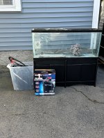 IMG_2185.jpeg
