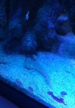 20250325_191858.jpg