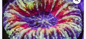 IMG_0596.jpeg