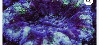 IMG_0595.jpeg