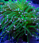 Screenshot 2025-03-26 133016.png Screenshot 2025-03-26 133016.png