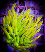 PDCSBVRF3KZRAI552F4Z7U6Z.webp PDCSBVRF3KZRAI552F4Z7U6Z.webp