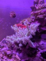 PXL_20250329_165632215.jpg