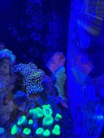 IMG_1711.jpeg
