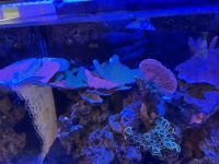 IMG_1710.jpeg