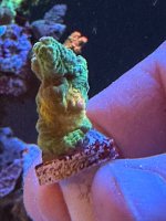 IMG_2883.jpeg