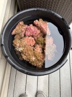 IMG_1632.jpg