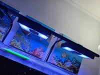 20250403_085718.jpg
