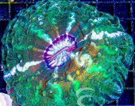 Screenshot 2025-04-02 134000.jpg