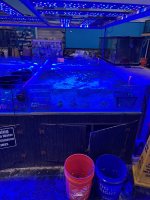 IMG_1786.jpeg