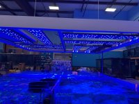 IMG_1787.jpeg