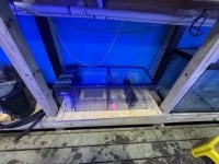 IMG_1806.jpeg
