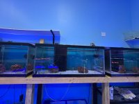 IMG_1807.jpeg