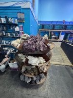 IMG_1817.jpeg